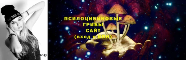 дживик Новозыбков