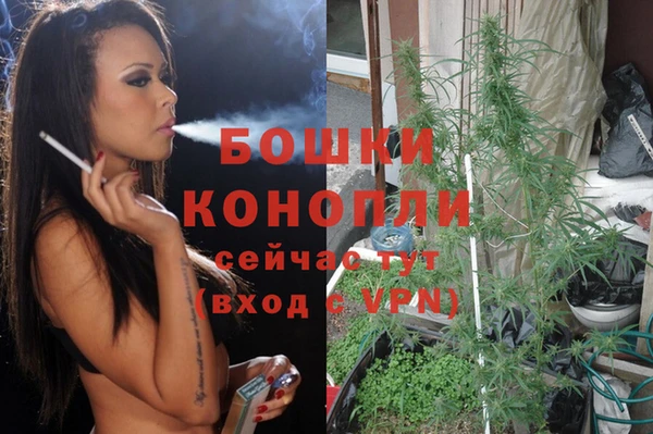 альфа пвп Няндома