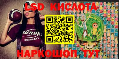шишки Апшеронск