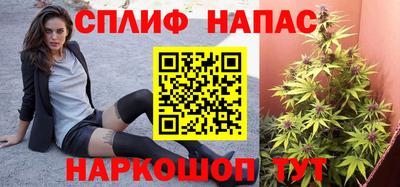 шишки Апшеронск