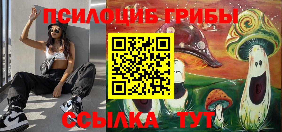 Галлюциногенные грибы Psilocybine cubensis Асино