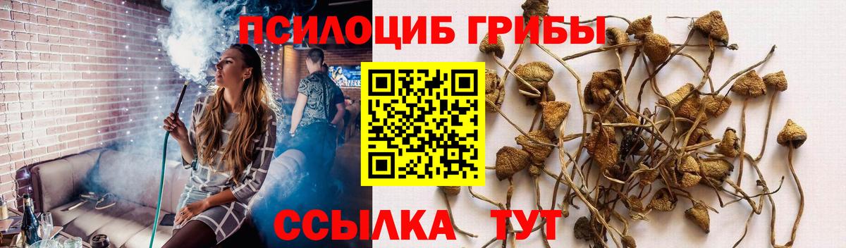 Асино  Галлюциногенные грибы мухоморы  Вход с VPN  Псилоцибиновые грибы Cubensis 