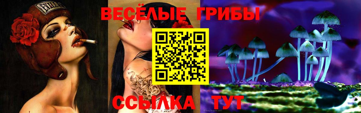 Галлюциногенные грибы Psilocybine cubensis  Асино  Галлюциногенные грибы Psilocybe 