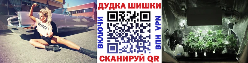Каннабис THC 21%  Асино 